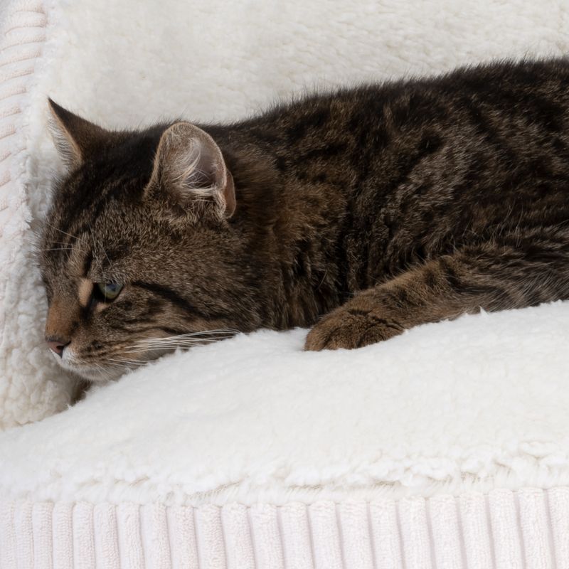 Canapé Modern Living Hella pour chat et petit chien