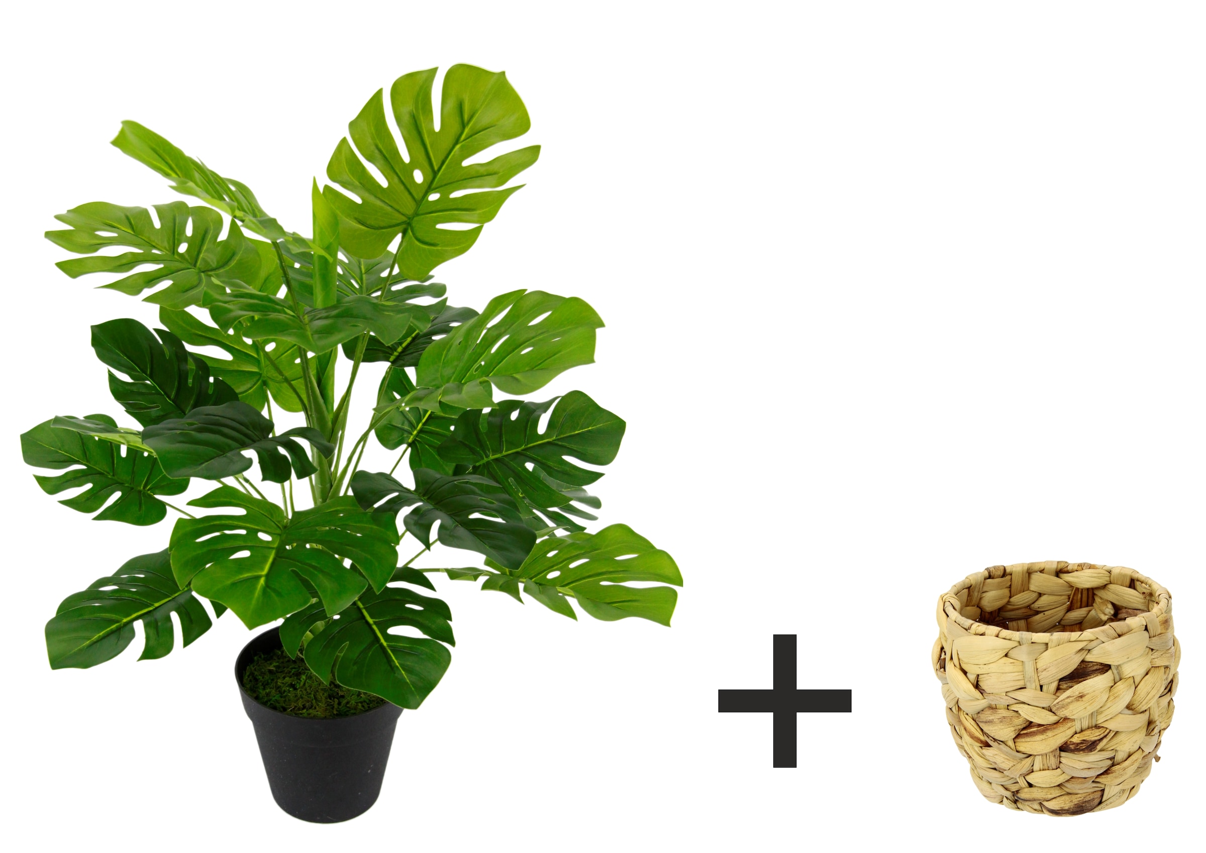 I.GE.A. Kunstpflanze »Monstera« Mit Übertopf künstlicheSplitphilo-Pflanze