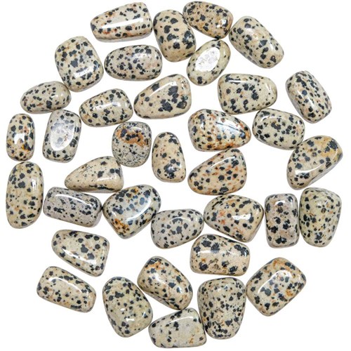 Pierres roulées jaspe dalmatien