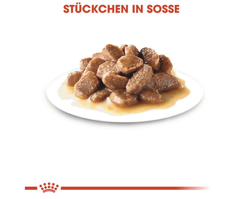 ROYAL CANIN FHN Instinctief natvoer voor katten 85 g