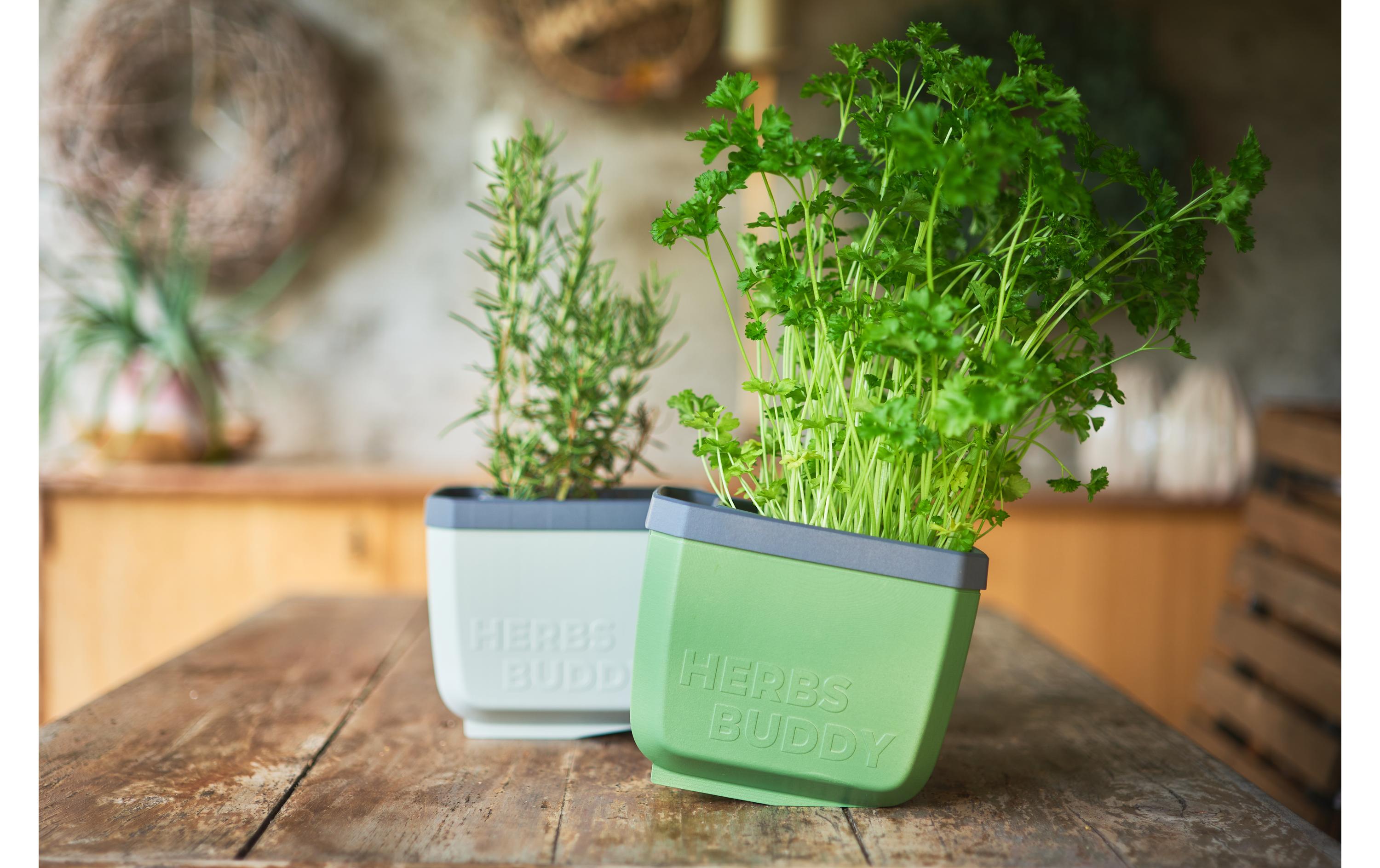 HERBS BUDDY Kräutertopf Grau/HellgrauKräutertopf mit Wasserreservoir und Kippfunktion