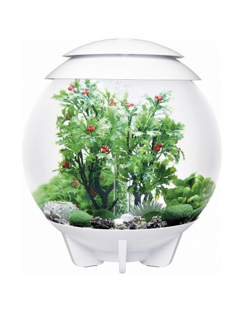 Biorb Decor Set Winter - Aquarium - Ornament - 30 l Wit Groen