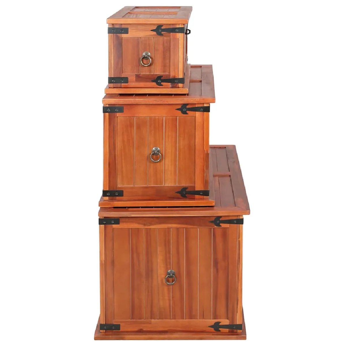 vidaXL Coffres de Rangement Acacia