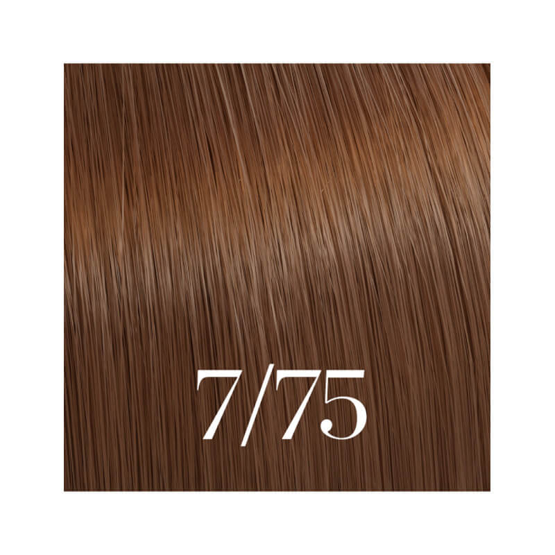 Illumina Color 60ML (par numéros/couleurs)
