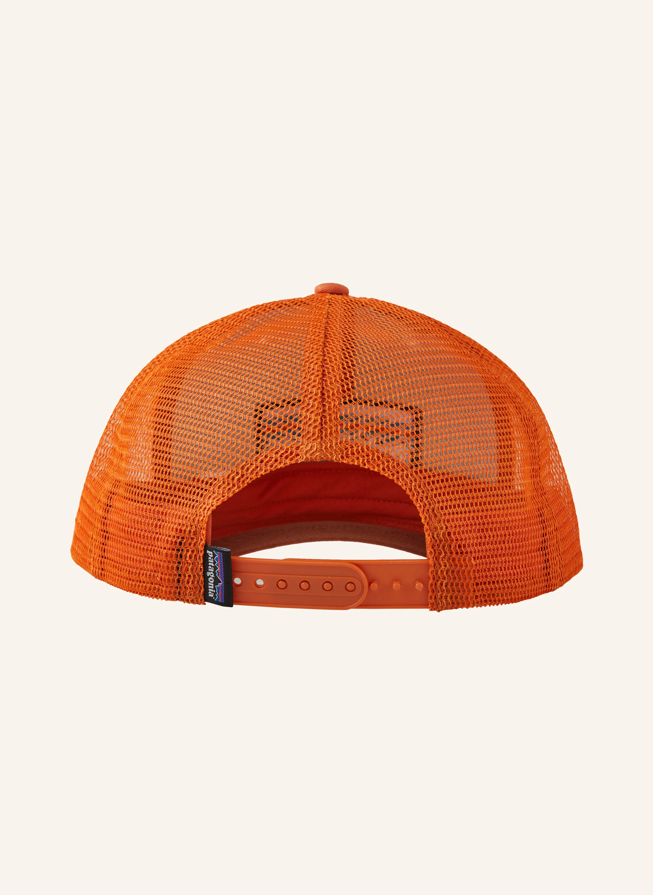 patagonia Cap P-6