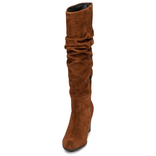Fericelli - NEIGNET - Camel