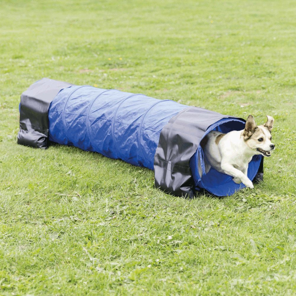 Tunnel agility pour chien ø 40 cm/2 m