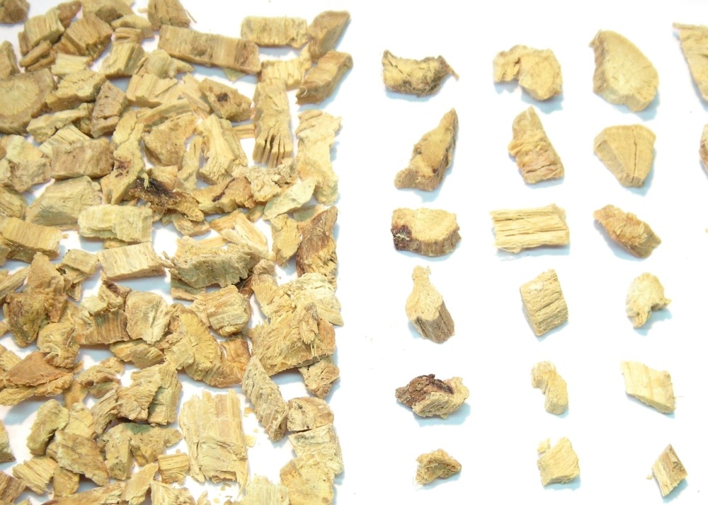 Réglisse glabre - 30 graines - avec substrat - glycyrrhiza glabra