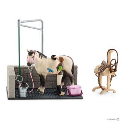 Horse Wash Area