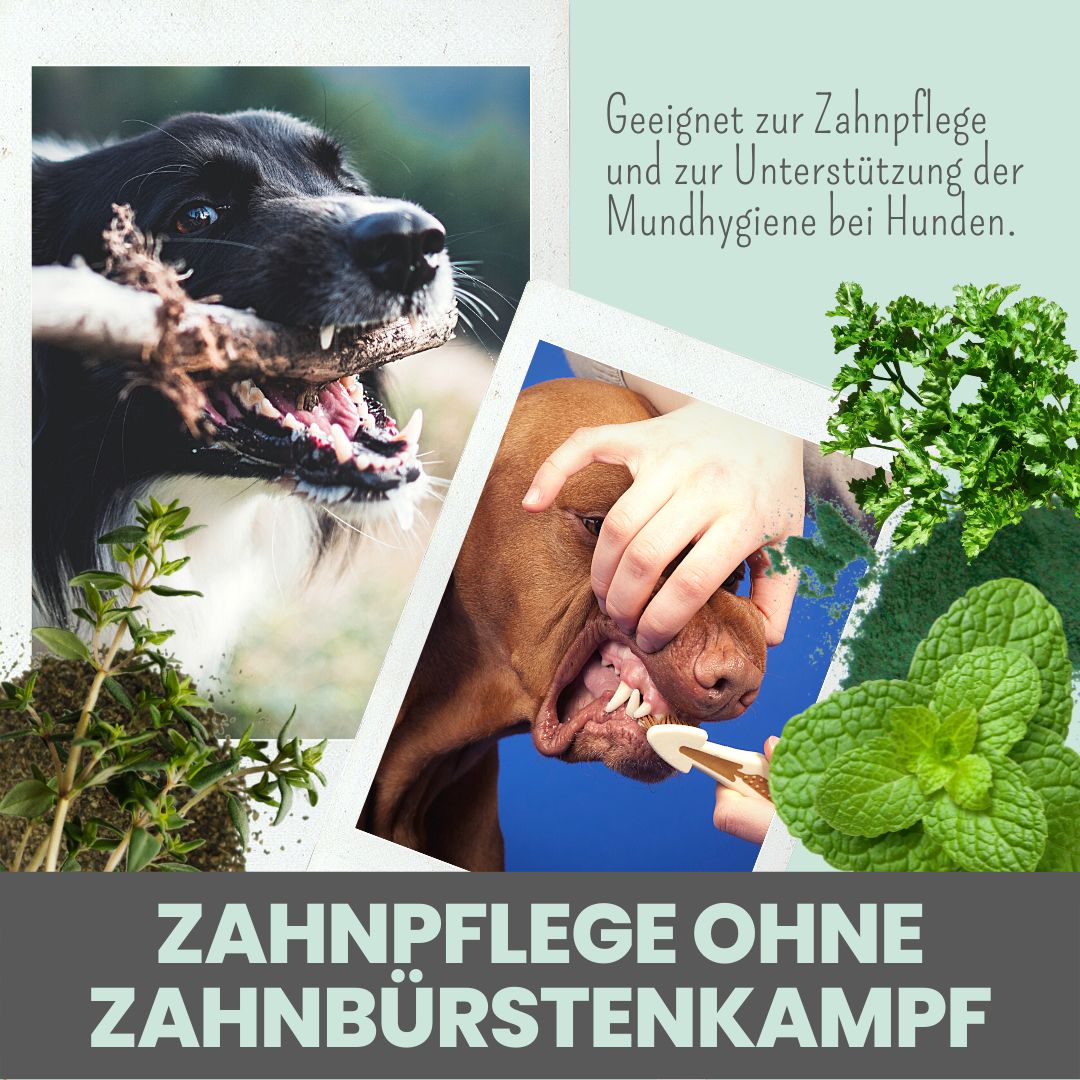 noms+ Dentalmix für Hunde zur Zahnpflege und für frischen Atem