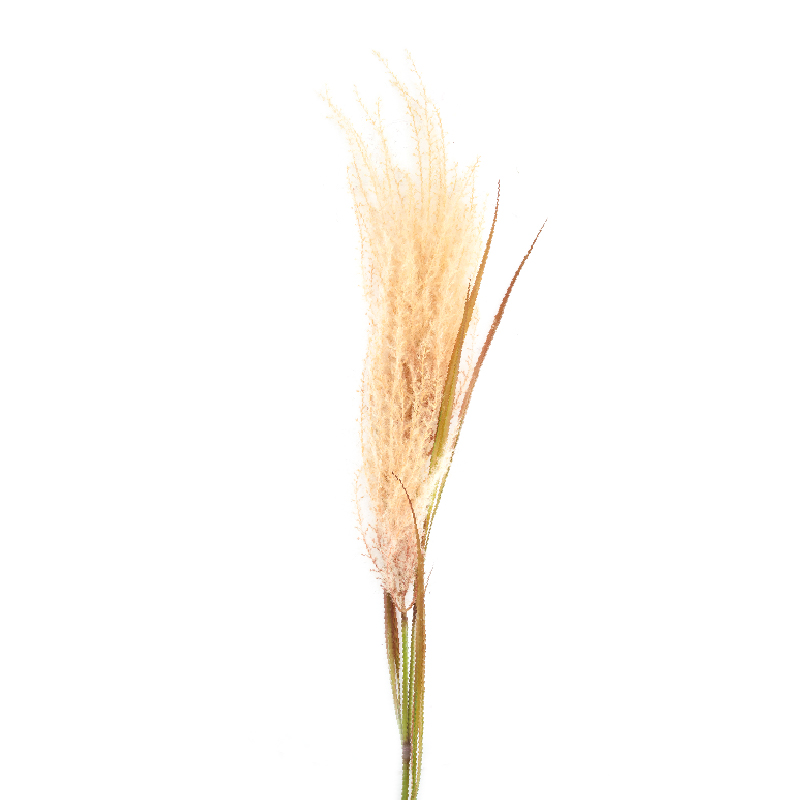 Branch reed pink