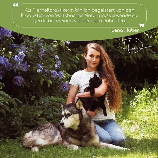 Wolfsbacher Natur Pfotenbalsam