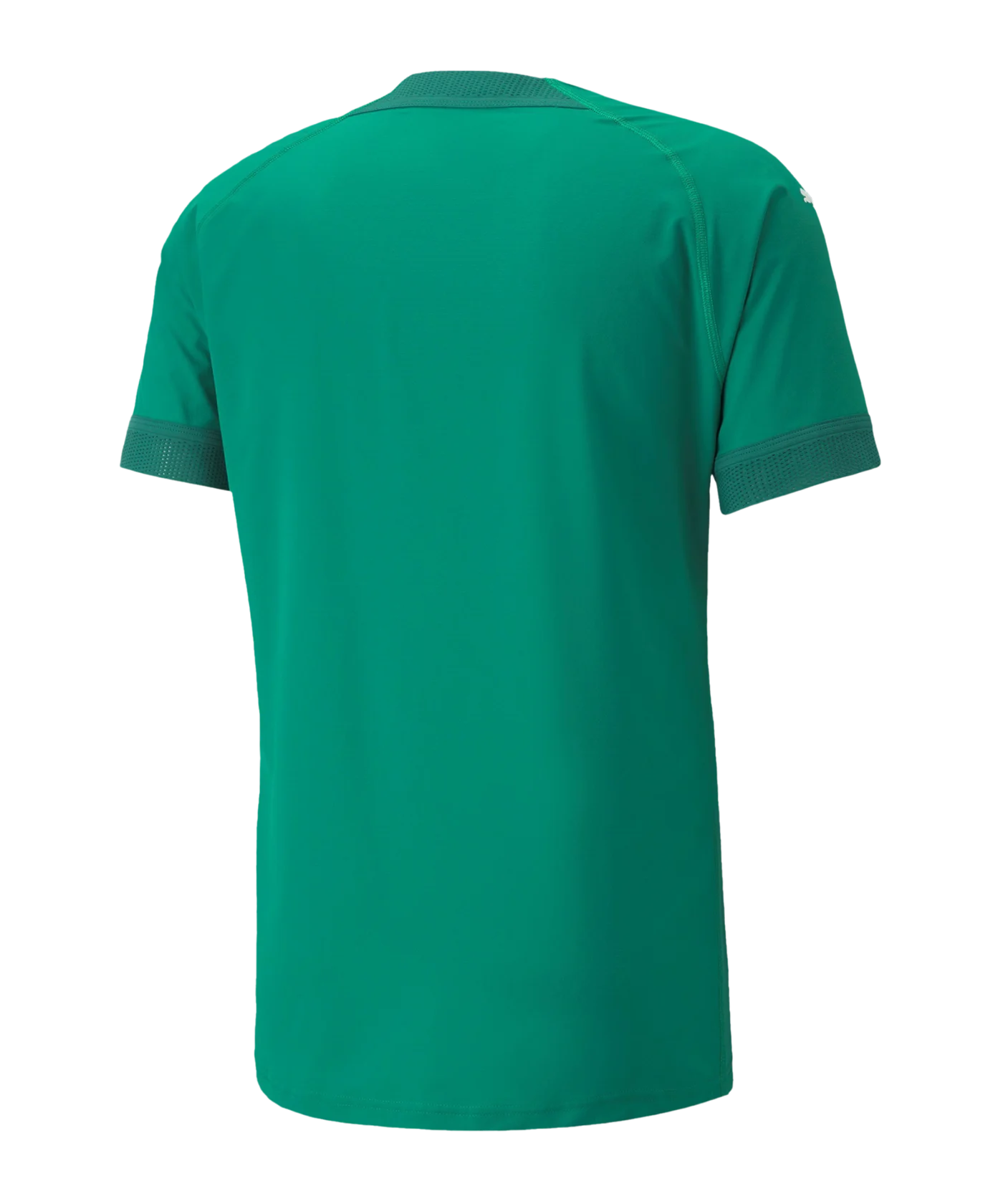 PUMA teamFINAL Ultraweave Trikot Grün F05
