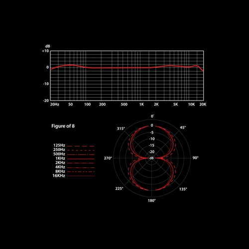 SE Electronics Voodoo VR2 actieve ribbon microfoon