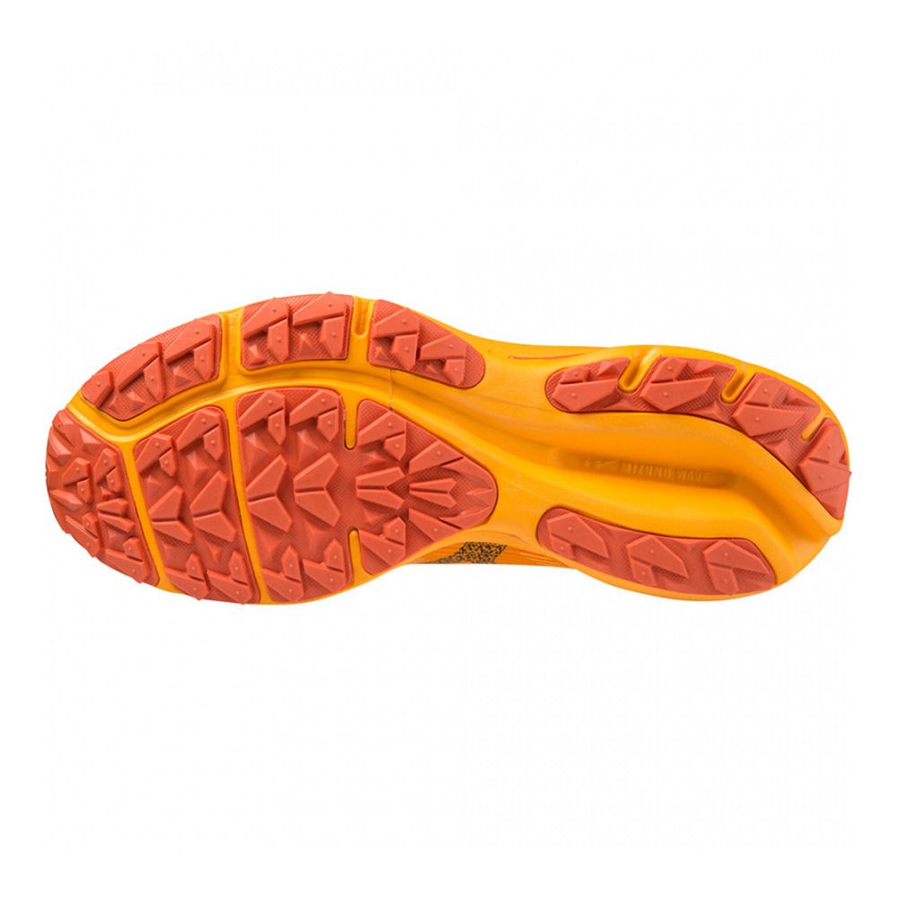 Mizuno WAVE RIDER GTX - Chaussures trail Homme zinnia/tigerlily/black
