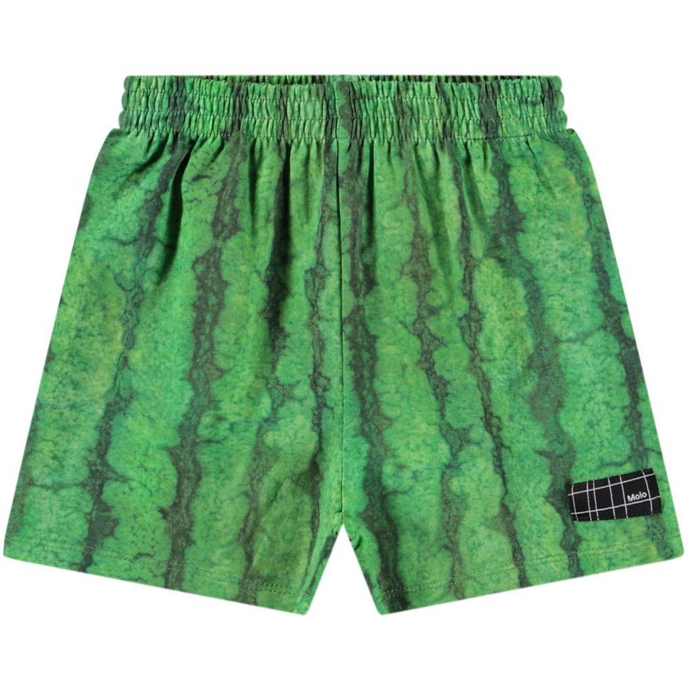 Køb Molo Melancia Suno Shorts