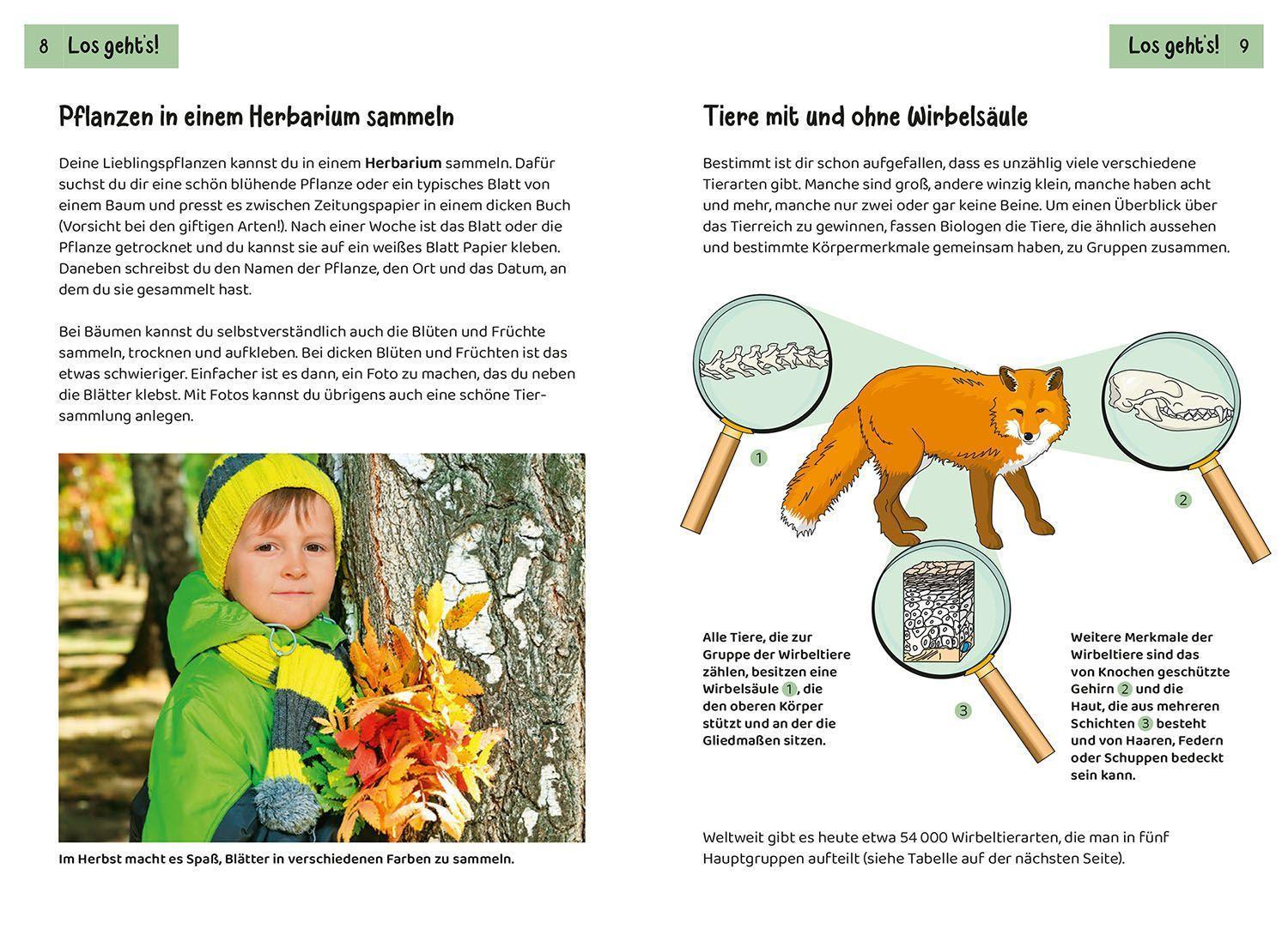 Tier- und Pflanzenführer. Kindernaturführer