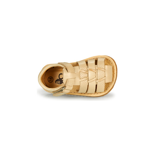 Citrouille et Compagnie - MISTIGRI - Beige