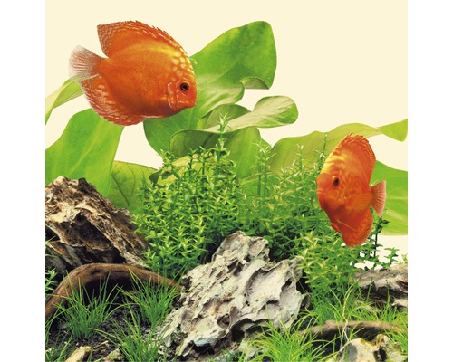 Juwel LED Nature aquariumlamp 11 W 590 mm