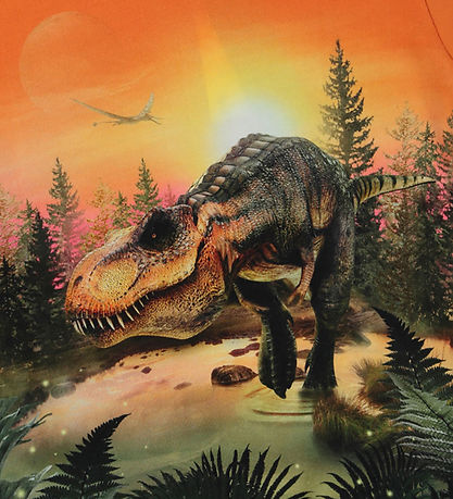 Molo T-Shirt - Riley - Dino Lake
