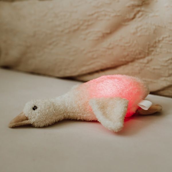 Flow Amsterdam Night Light Plush Liva