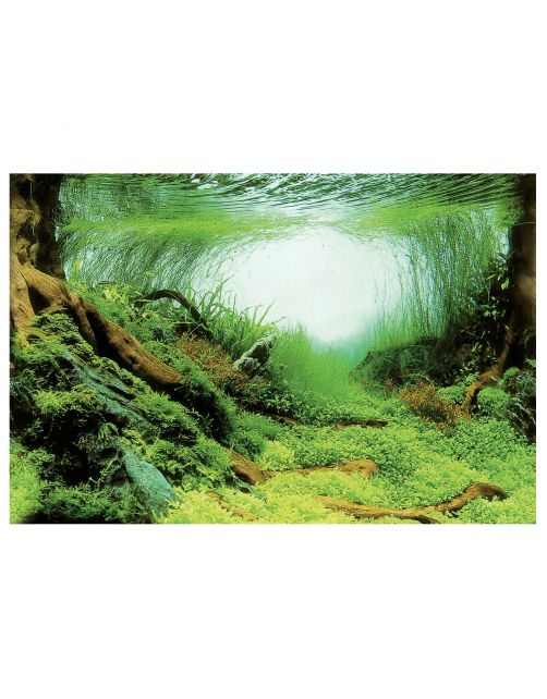 Superfish Deco Poster - Aquarium - Ornament