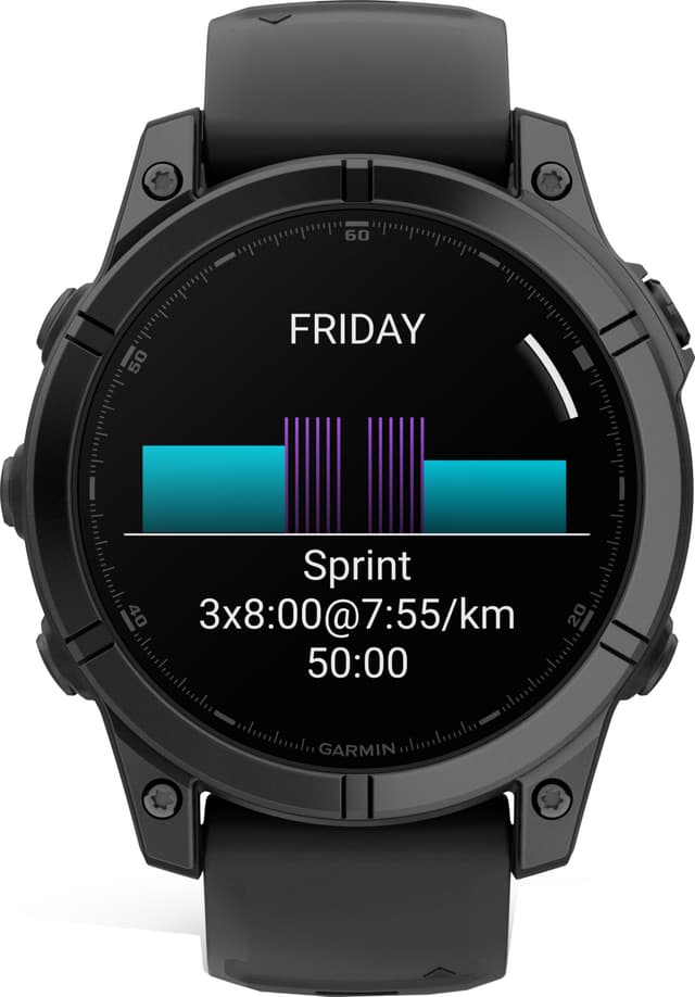 Garmin Fenix E smartwatch 47 mm (Slate Gray)