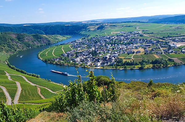 Mofa Tour Zeltingen-Rachtig