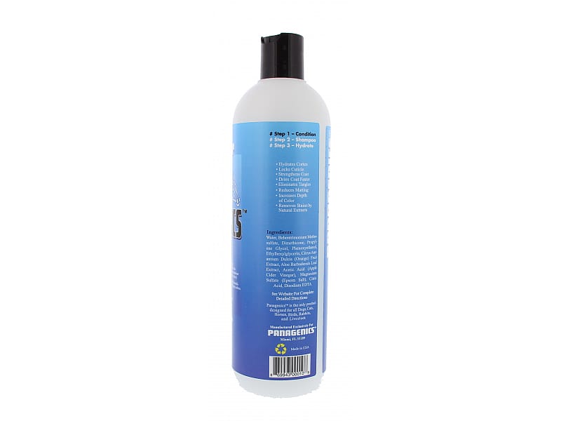 Panagenics Conditioner 480 ml