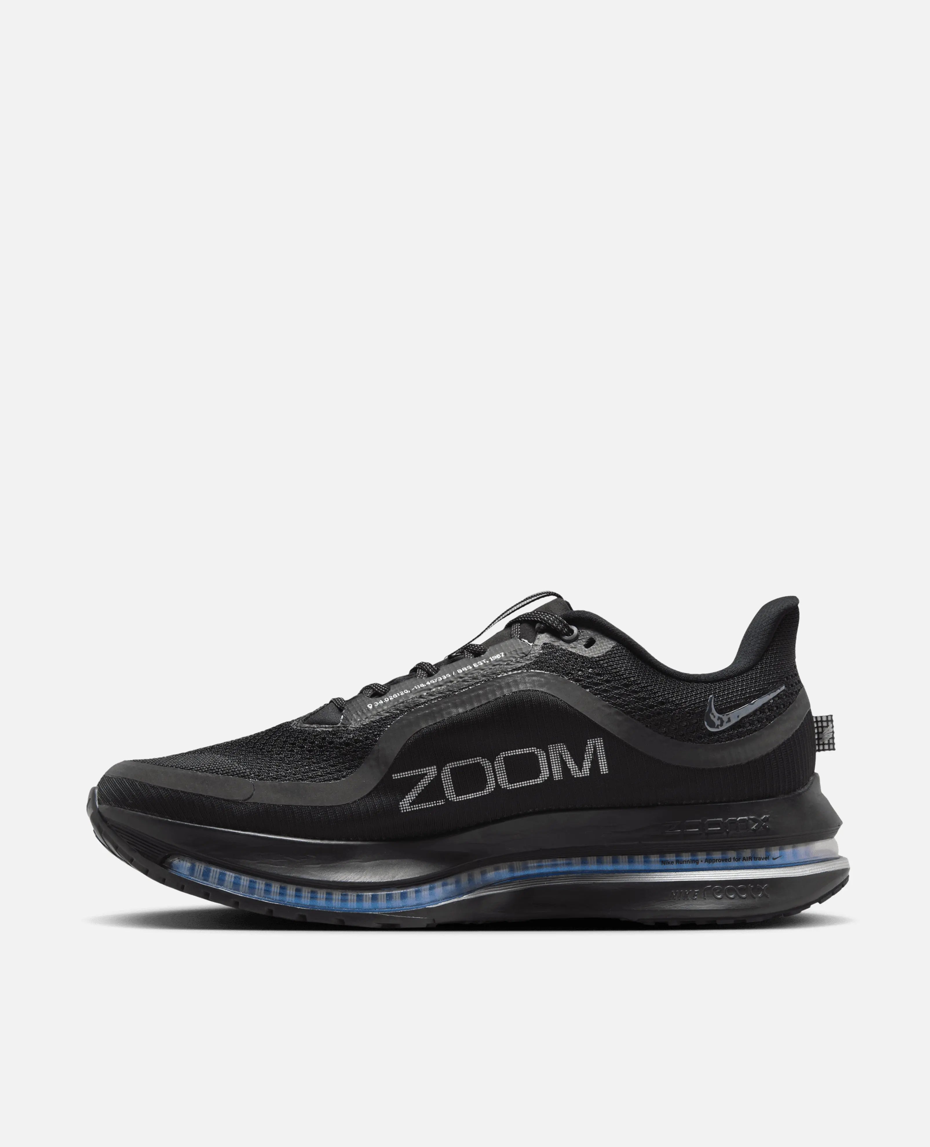Nike Pegasus Premium (Black/Black-Metalic Silver)