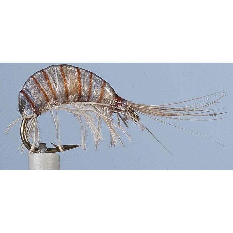 Mouche Jmc Nymphe Jcc 110