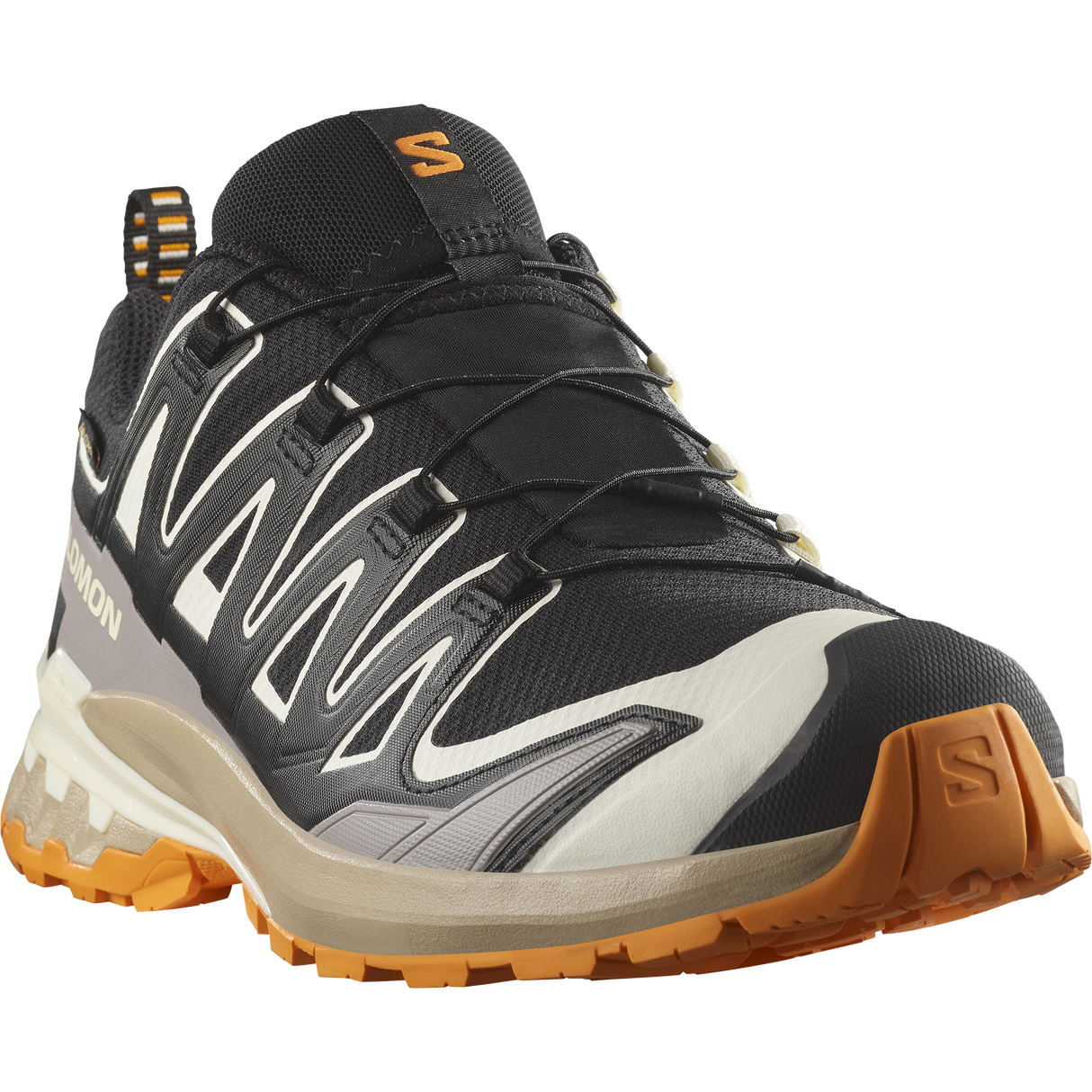 Salomon<br>XA Pro 3D V9 GTX M