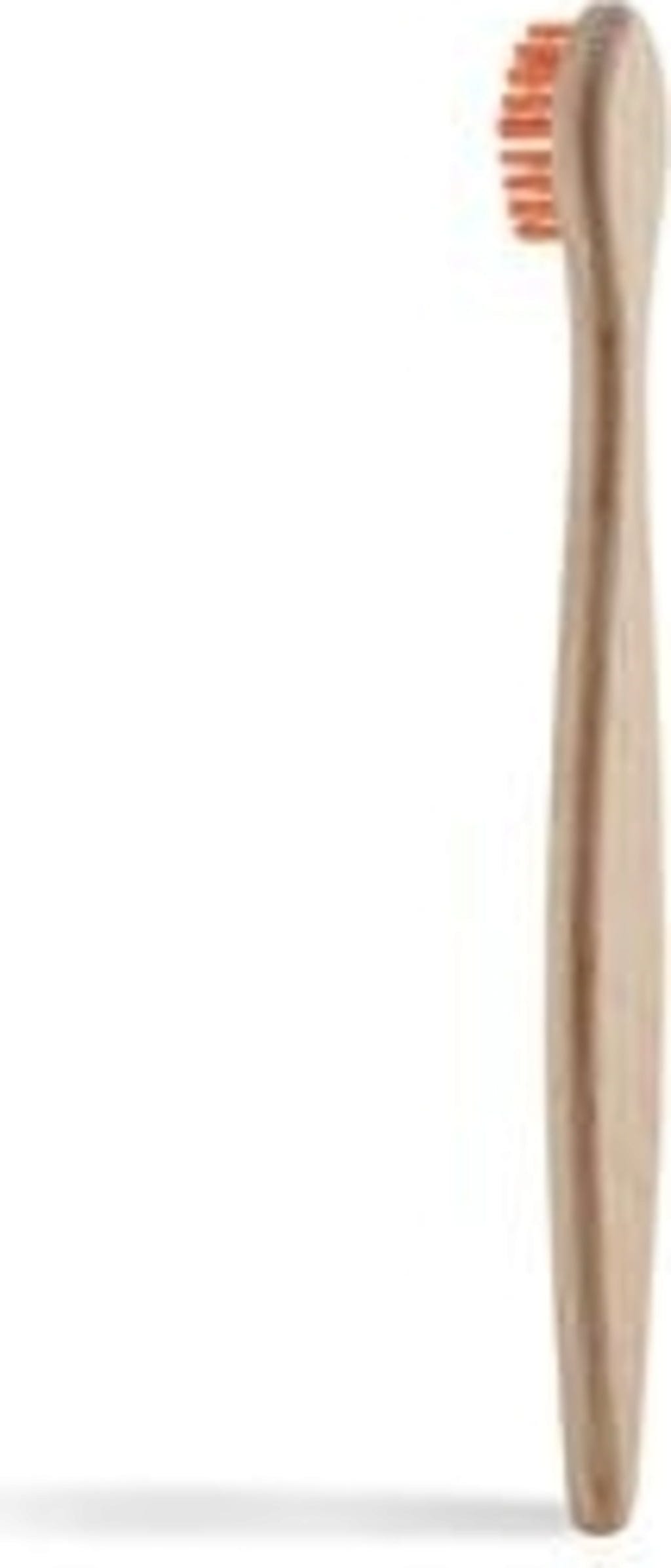 georganics  Kids Beechwood Toothbrush