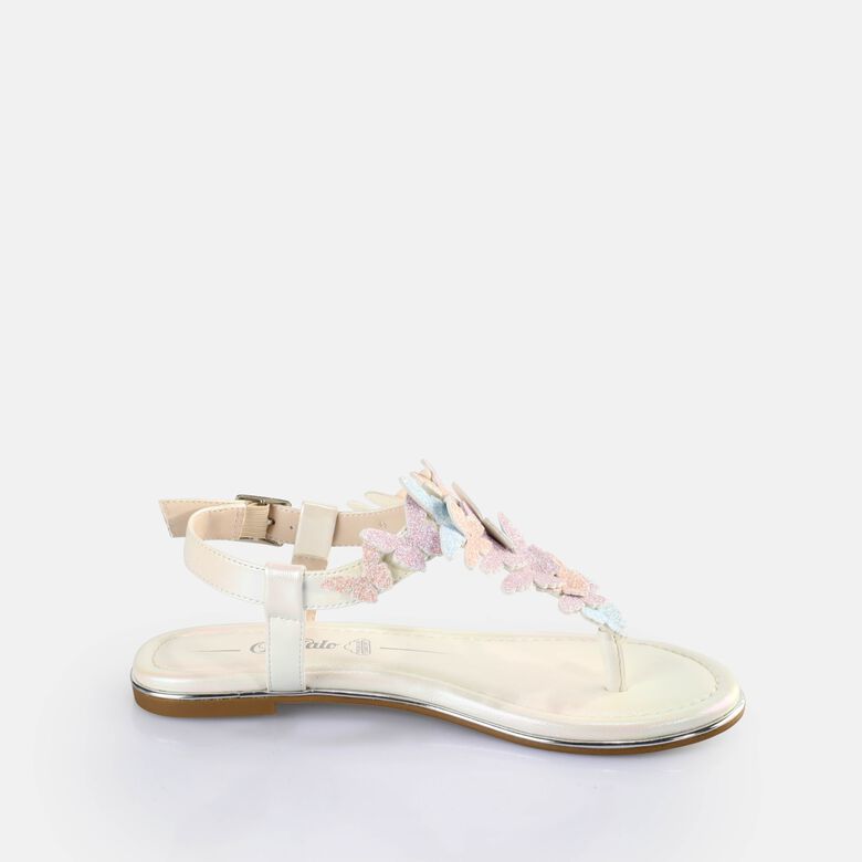 Capri Butterfly