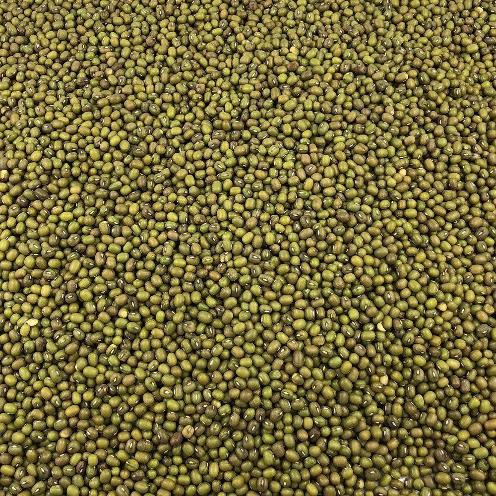 Soja Vert Bio en Vrac 500g Vrac Bio