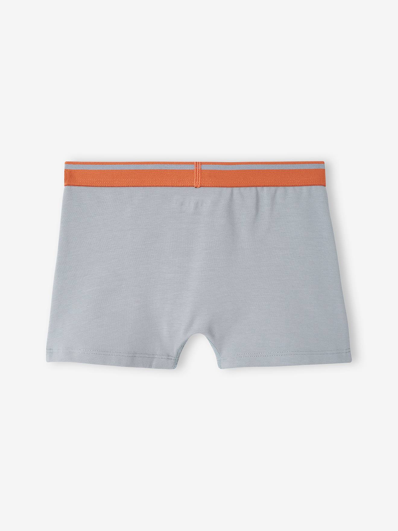 Pacote com 5 cuecas boxer elásticas 