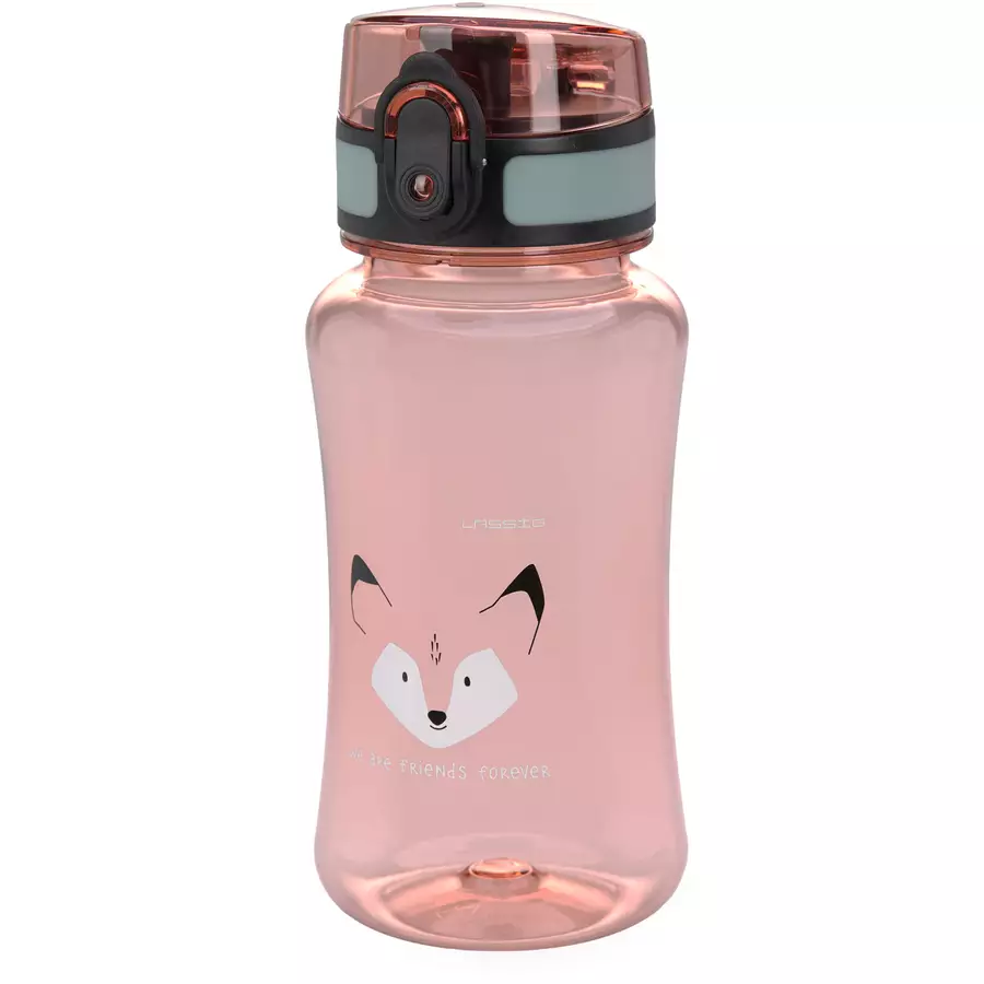 LÄSSIG Lunch-Set mit Brotdose und Trinkflasche 460 ml, About Friends Fox