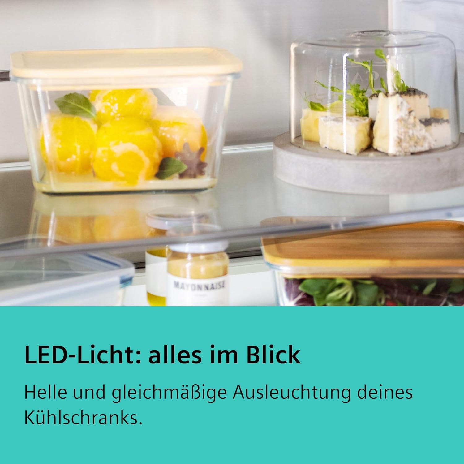 Siemens KG36EALCA iQ500 Kühl-Gefrier-Kombination, 186 x 60 cm, 214 L Kühlen + 94 L Gefrieren, lowFrost selterner Abtauen, freshSense für konstante Innentemperatur, superCooling schnellere Kühlung