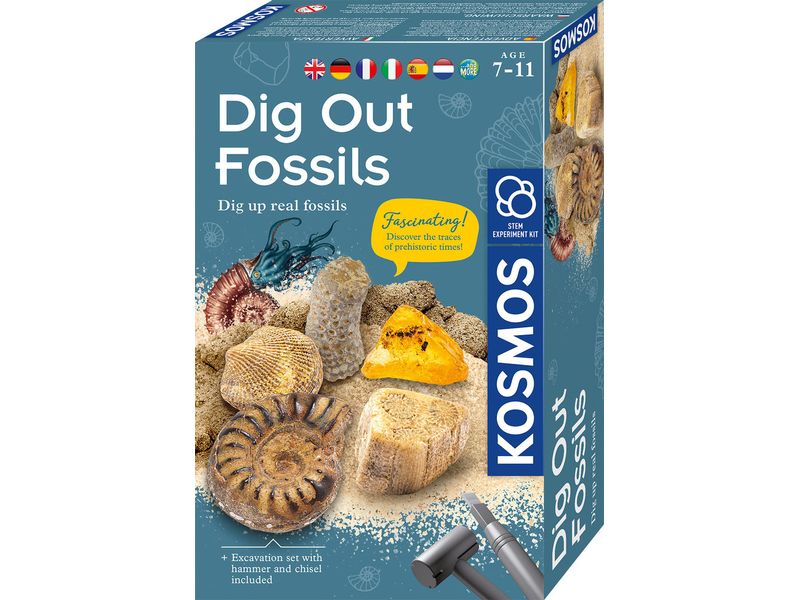 Kosmos Experimentierkasten Fossilien INT Experimentierkasten mit echten Fossilien