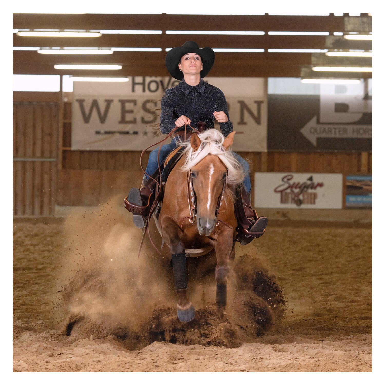 Passion 4Q Showshirt - black