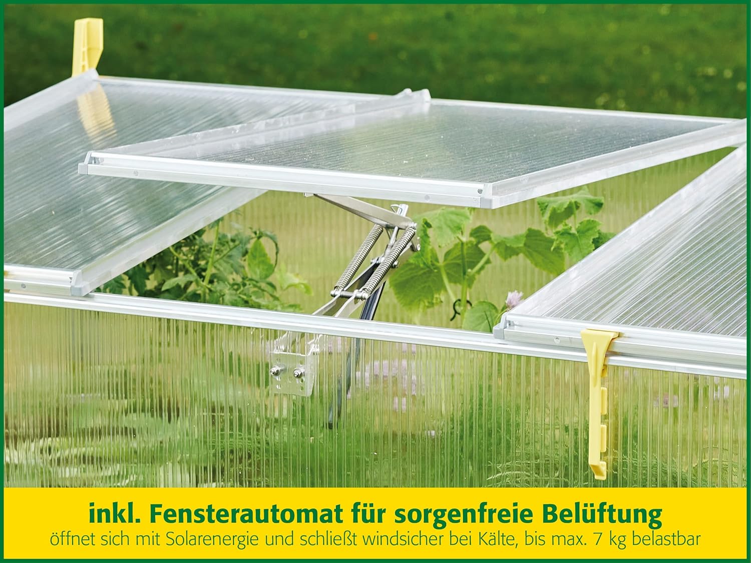 JUWEL Frühbeet Biostar 1500 (Gewächshaus mit Fensterautomat, öffnet und schließt selbstständig, Pflanzenbeet mit wärmeisolierenden Hohlkammerplatten, 150x80 cm) 20150