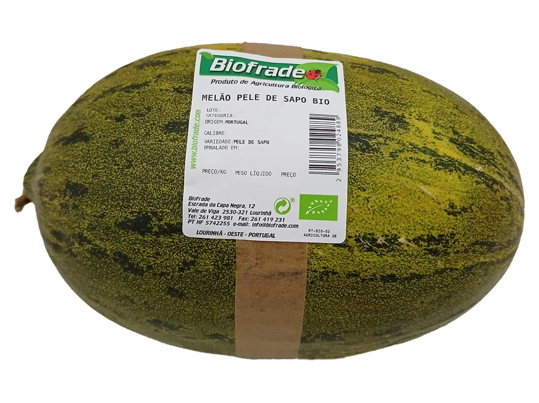 MELÃO VERDE BIO KG