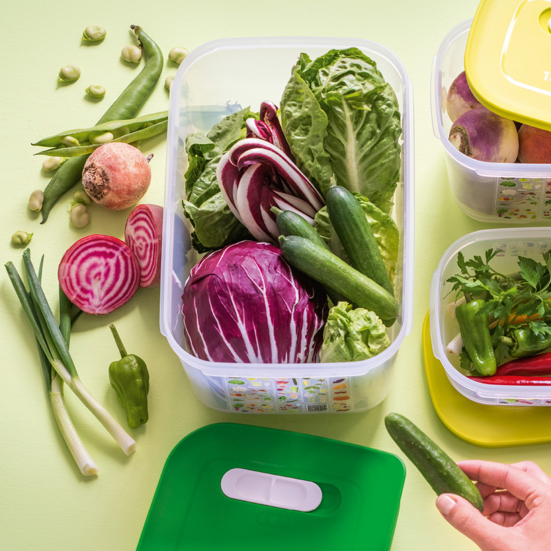 KlimaOasen-Set (5) Grundausstattung zum Frischhalten von Gemüse, Obst und Kräuter