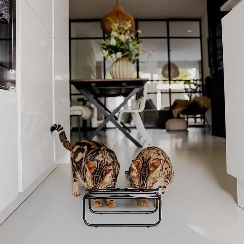 District 70  BUTLER Voerbakstandaard Kat | Zwart | 15775.1