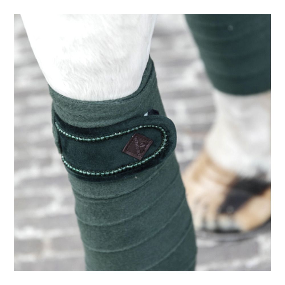 Kentucky VELVET PEARLS - Bandes de polo x4 pine green