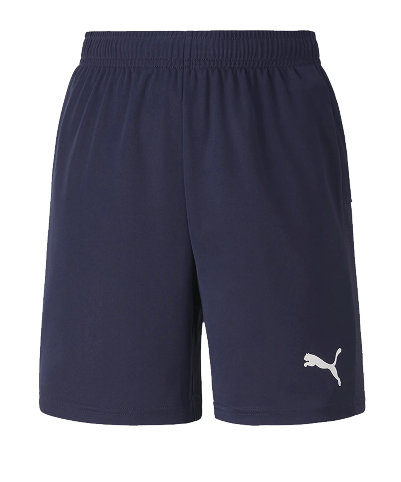 PUMA teamGOAL 23 Knit Short Kids Blau F06