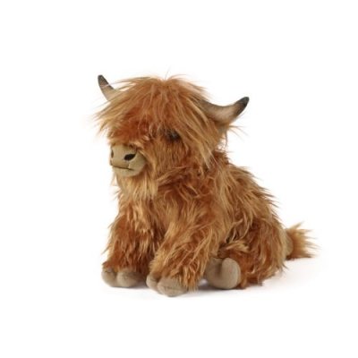 Highland Cow