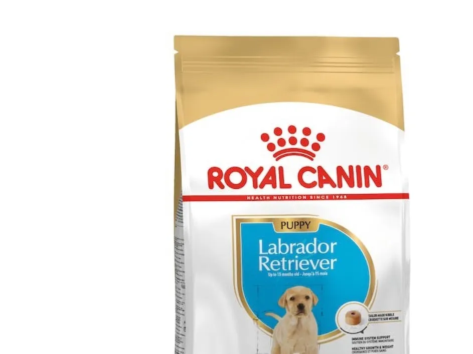 Royal Canin Labrador Retriever Junior, Hundehvalp, Majs, Fjerkræ, Ris, 12 kg