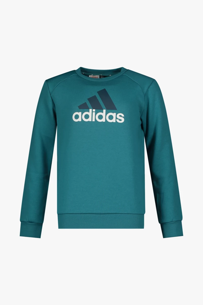 adidas Sportswear Essentials Big Logo Kinder Trainingsanzug