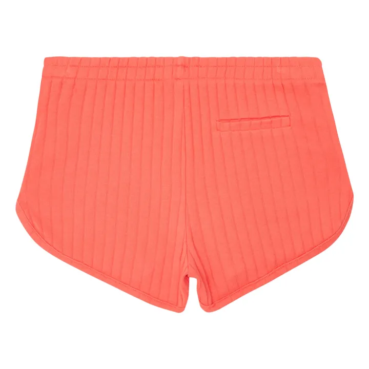 Hundred Pieces Short RIB Cotton Bio | Tangerine